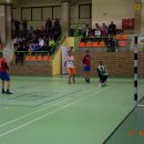 Halwka3 51